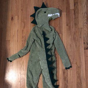Kids' Dinosaur costume. Size Small